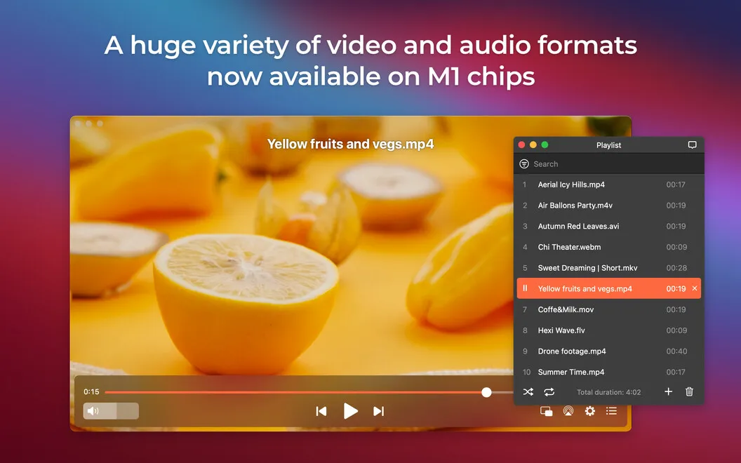 Elmedia Player screenshot 1