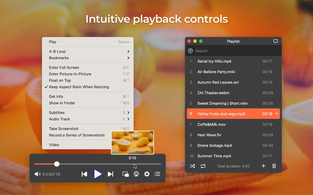 Elmedia Player screenshot 2