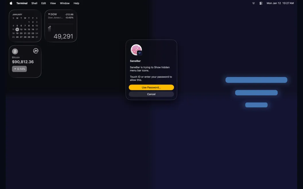 SaneBar screenshot 3