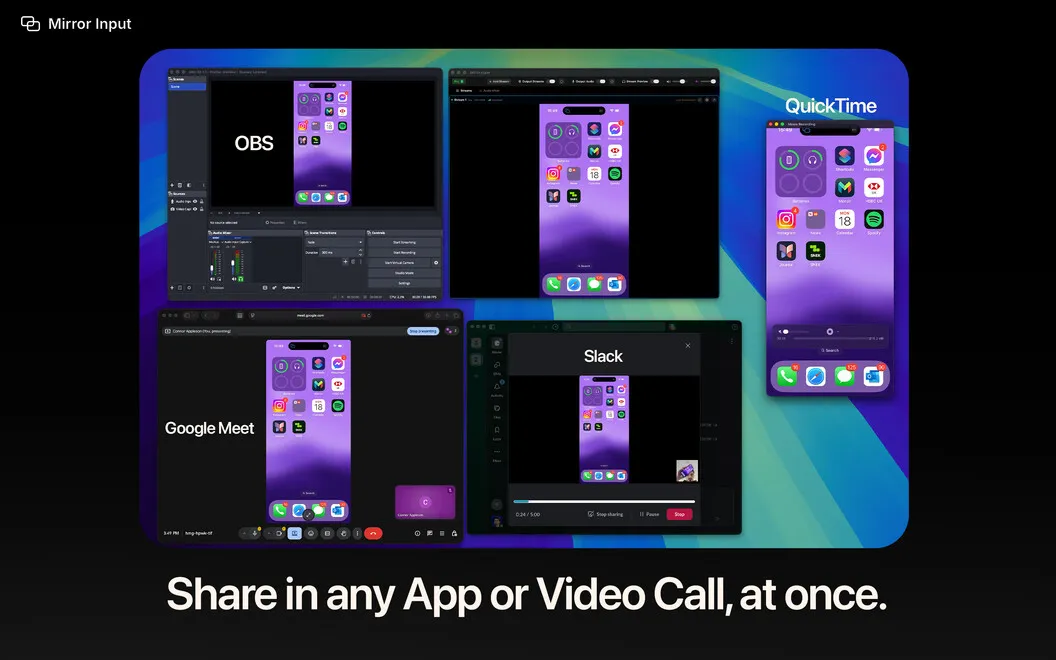Mirror Input screenshot 2
