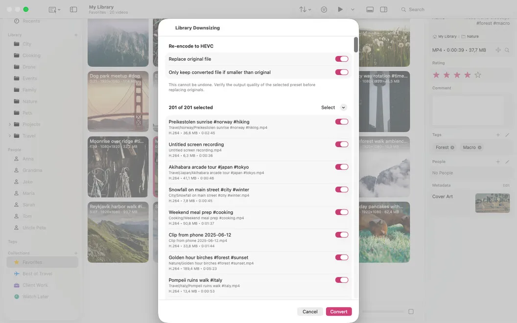 Vidarium screenshot 4