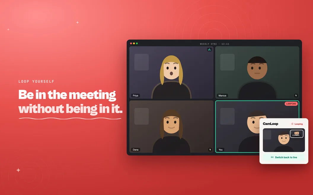 CamLoop screenshot 1