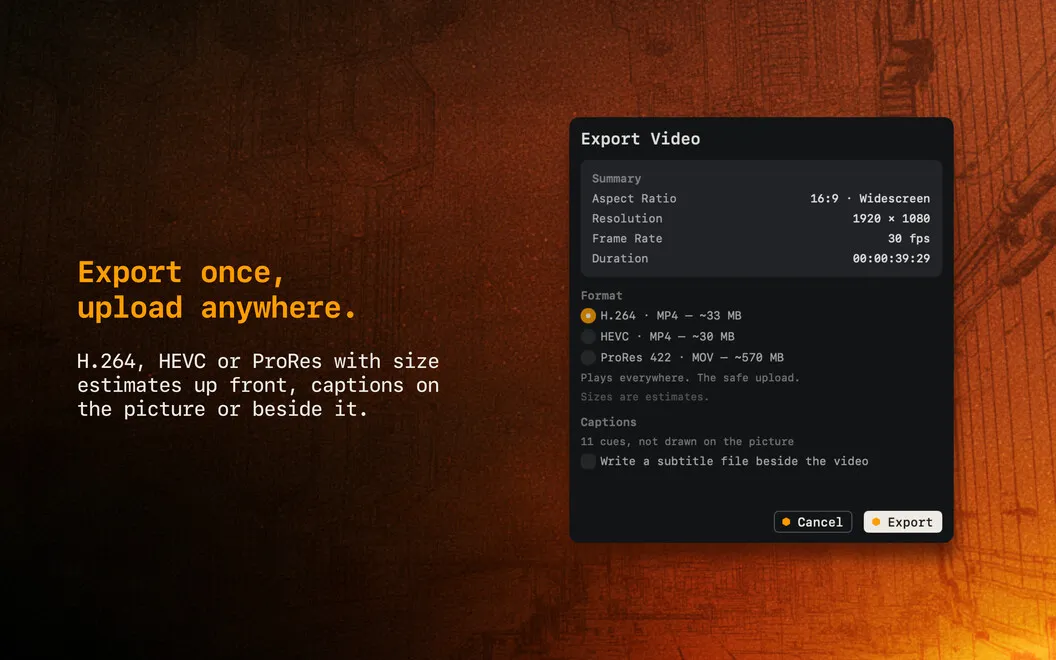 BeeRoll screenshot 4