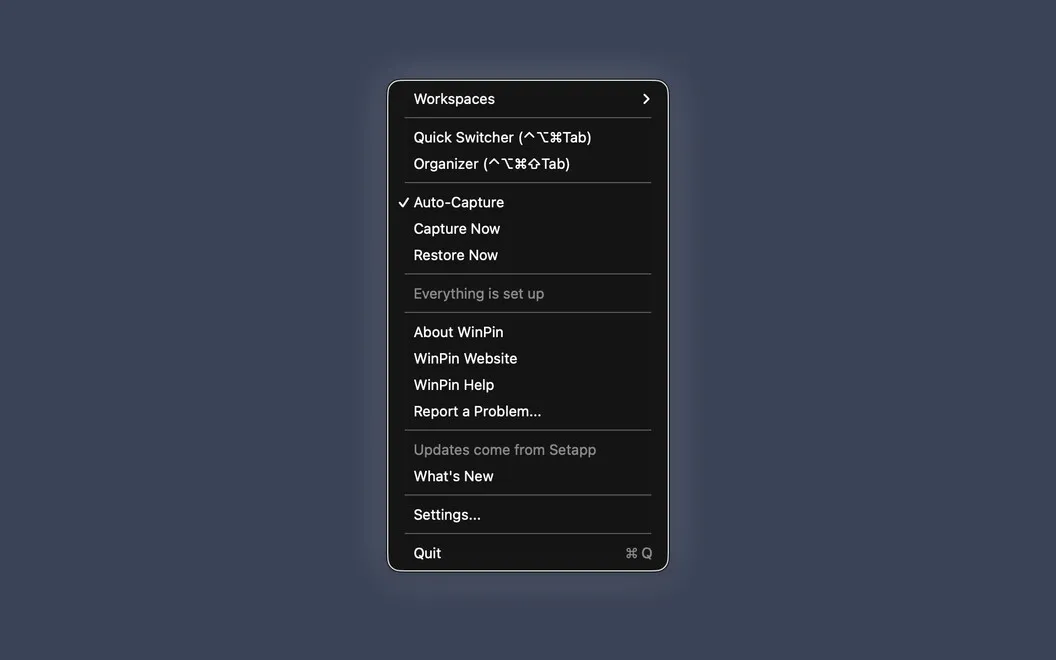WinPin screenshot 5