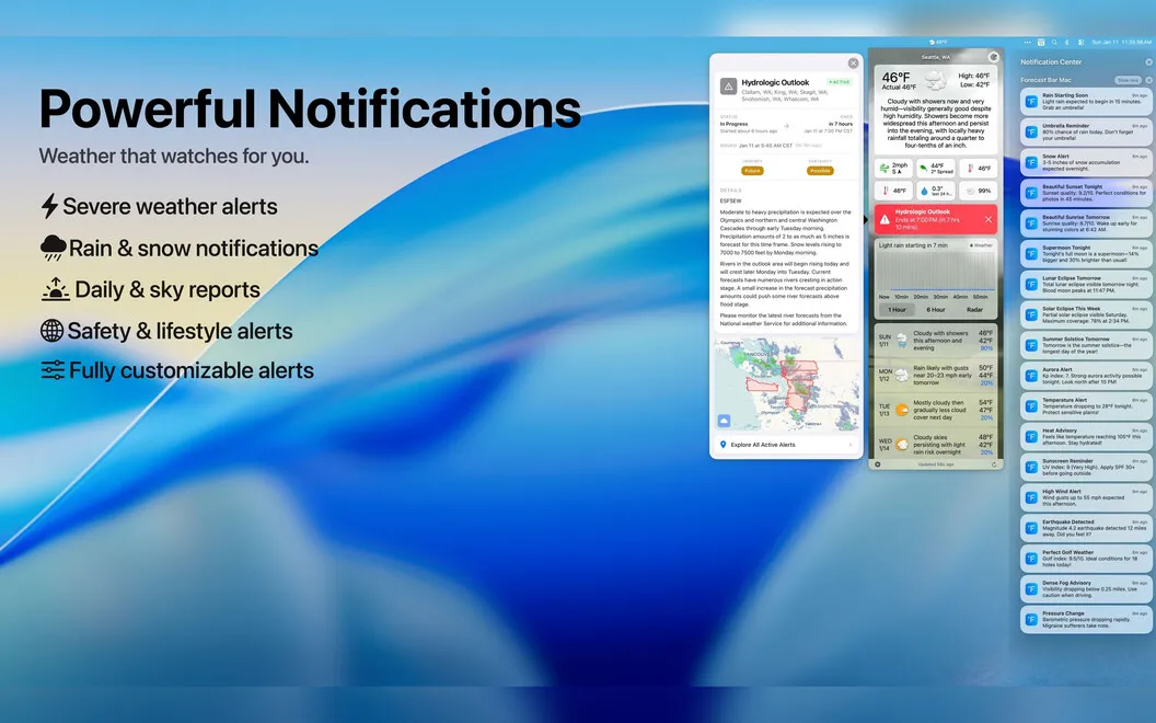 Forecast Bar screenshot 3