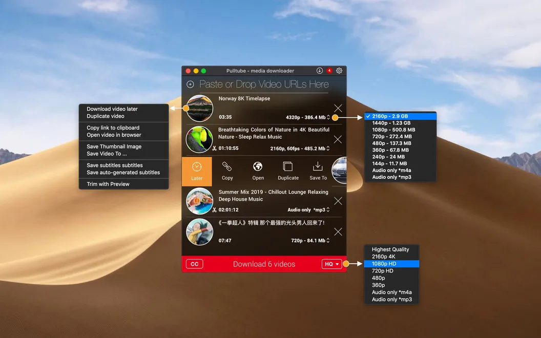 Pulltube screenshot 2