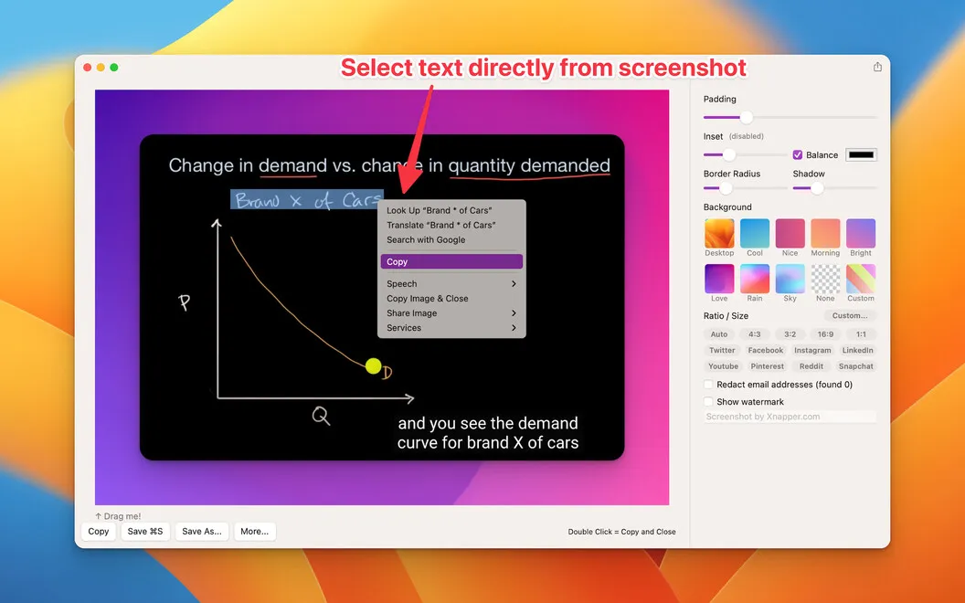 Xnapper screenshot 4