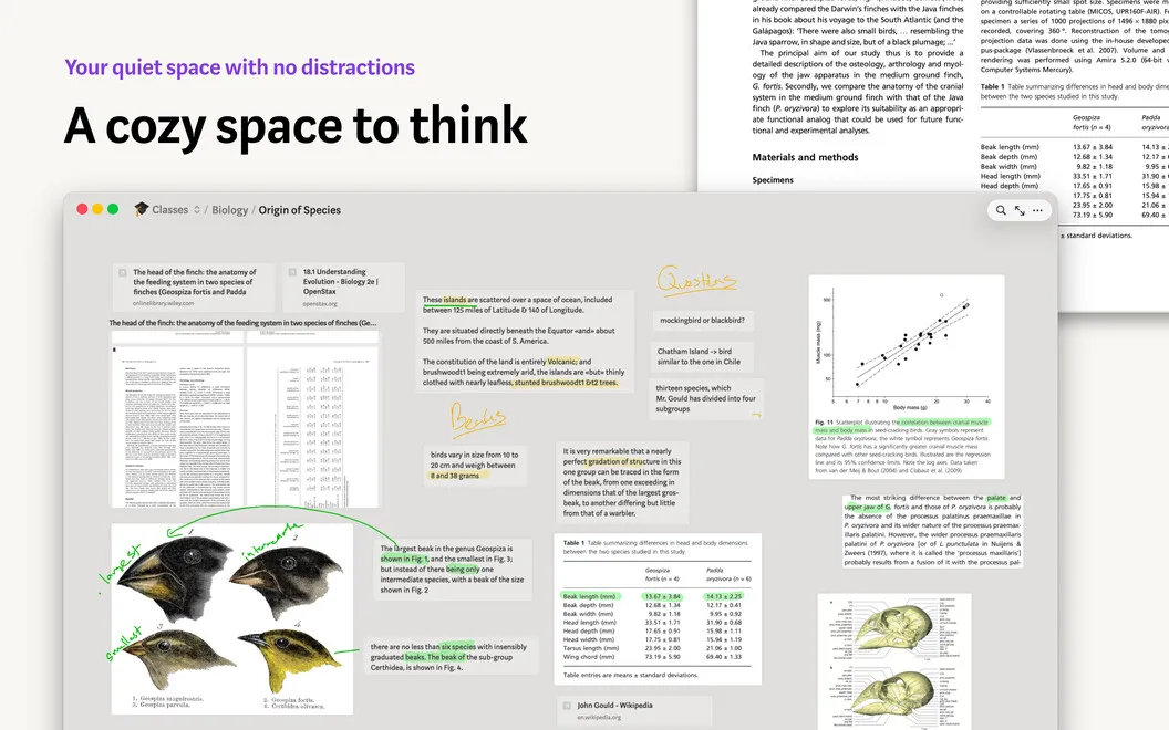 Allume screenshot 1