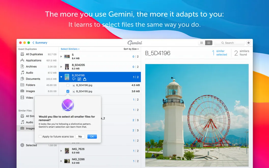 Gemini screenshot 5