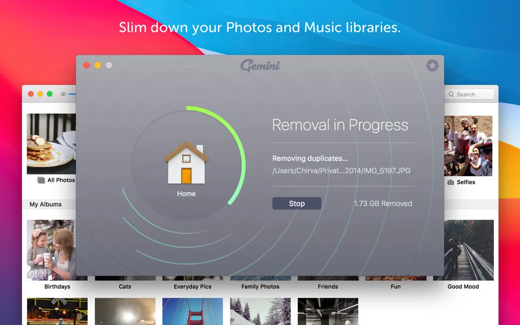 Gemini screenshot 3