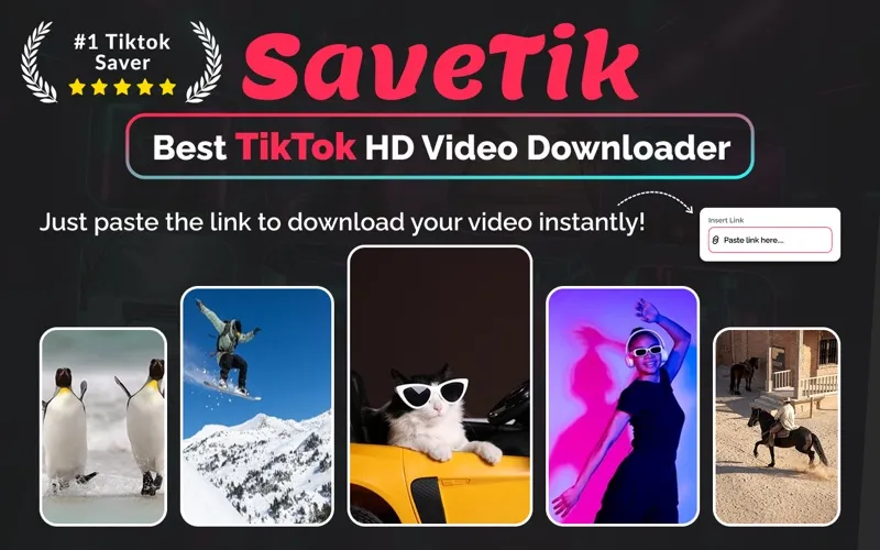 SaveTik screenshot 1