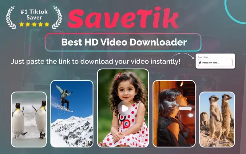 SaveTik screenshot 6