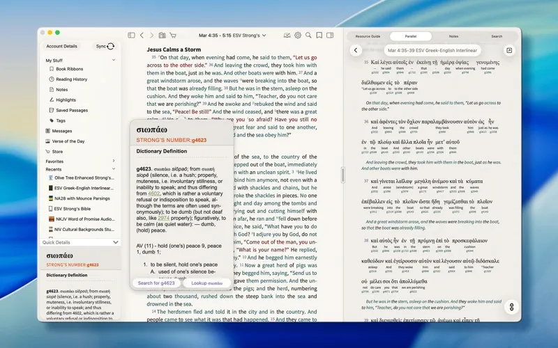 Bible Study screenshot 5