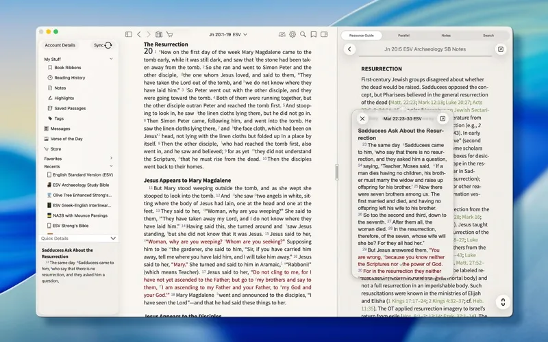 Bible Study screenshot 7