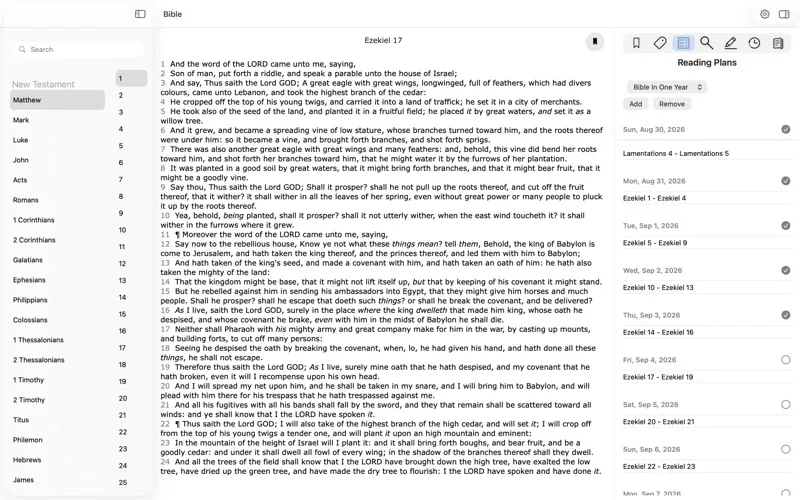 The-Bible screenshot 3