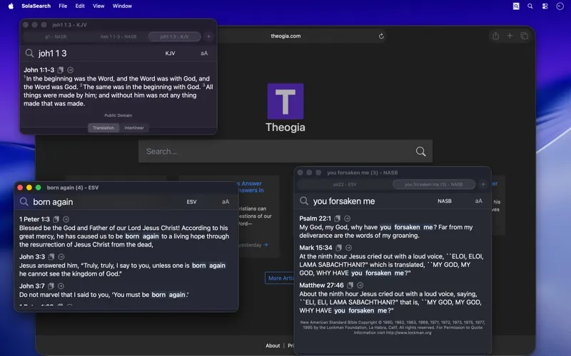 SolaSearch screenshot 2