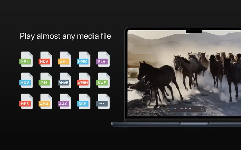 Full Video Player screenshot 1