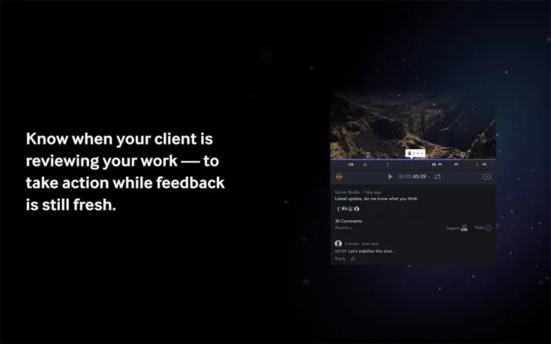 Frame.io screenshot 5