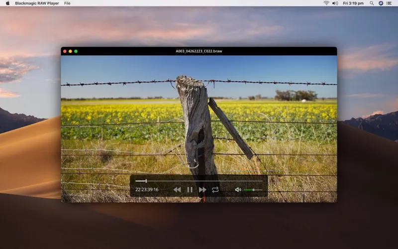 Blackmagic RAW Player screenshot 1