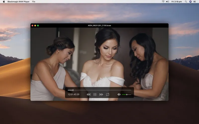 Blackmagic RAW Player screenshot 3