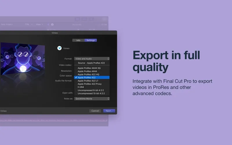 Vimeo screenshot 2