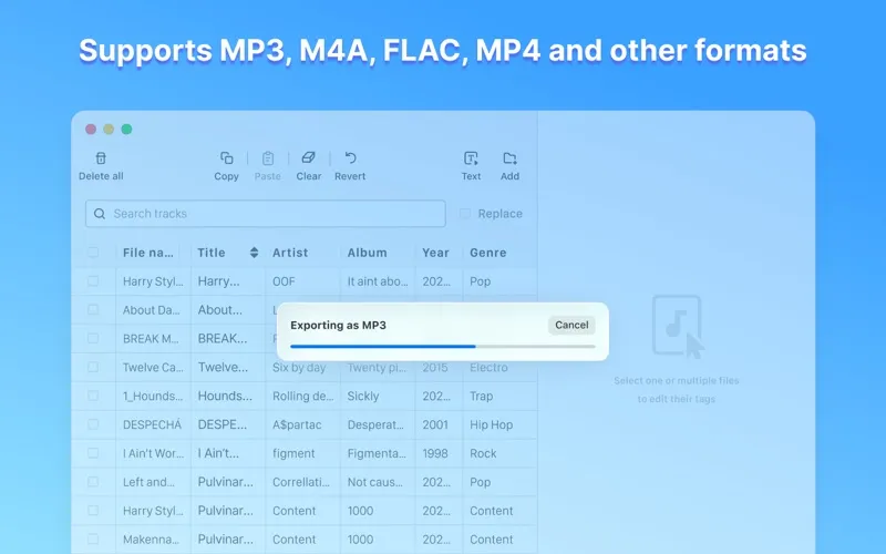 MP3 Tag Editor screenshot 4