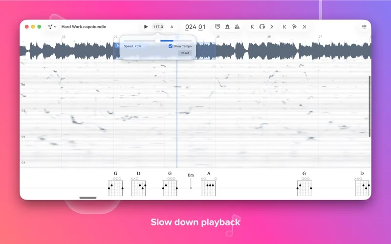 Capo screenshot 2