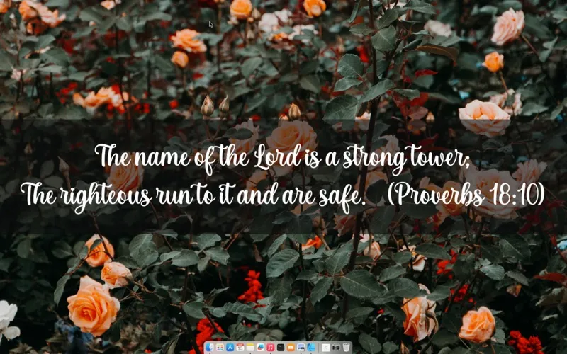 Desktop Verse screenshot 2