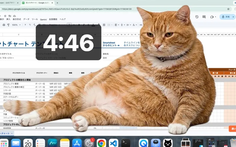 Cat Gatekeeper screenshot 4