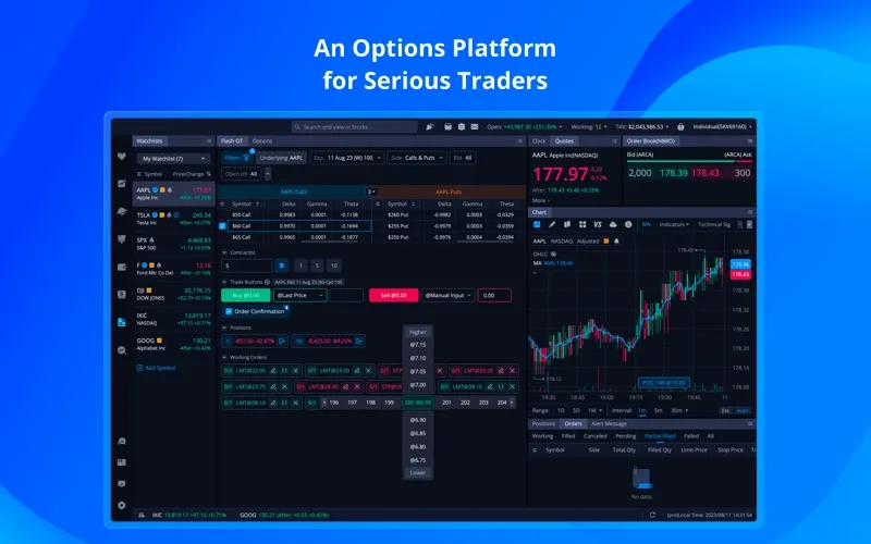 Webull screenshot 2