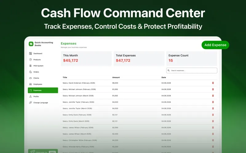 QuickBooks Pro screenshot 5
