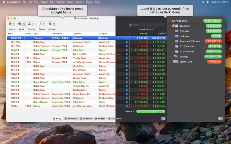 CheckBook Pro 3 screenshot 8