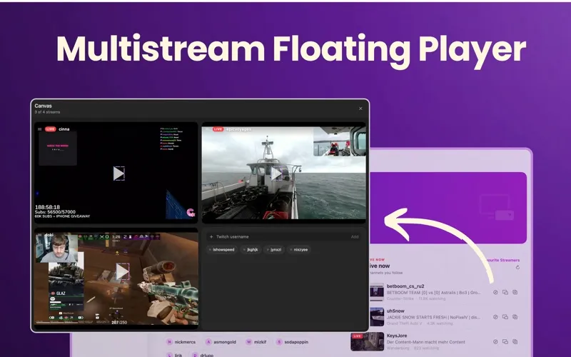 Livestream screenshot 2