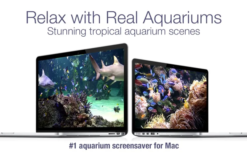 Aquarium Live HD screensaver screenshot 3