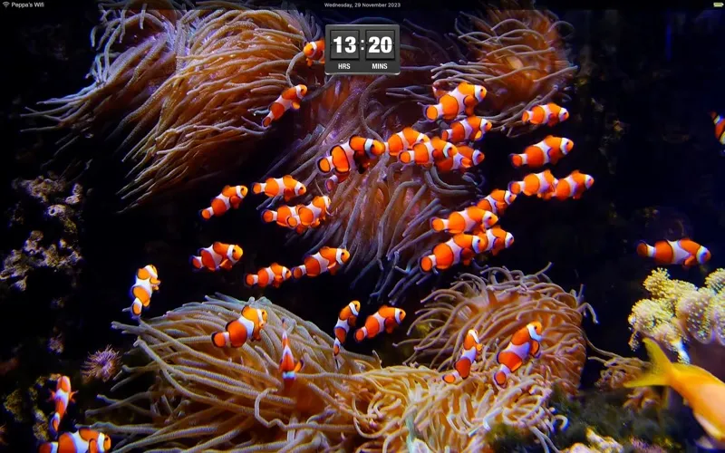 Aquarium Live HD screensaver screenshot 8