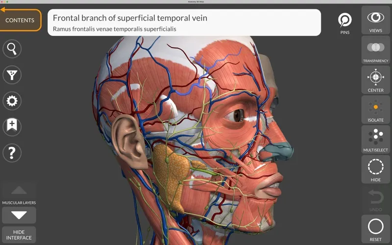 Anatomy 3D Atlas screenshot 3