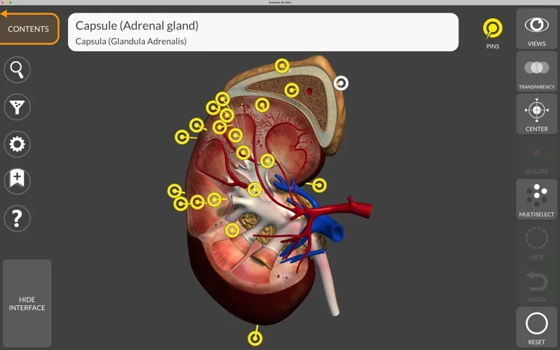 Anatomy 3D Atlas screenshot 5