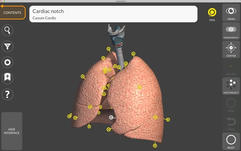 Anatomy 3D Atlas screenshot 6