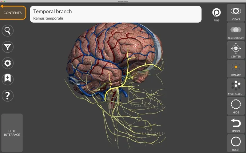 Anatomy 3D Atlas screenshot 7