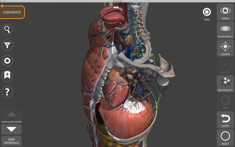 Anatomy 3D Atlas screenshot 8