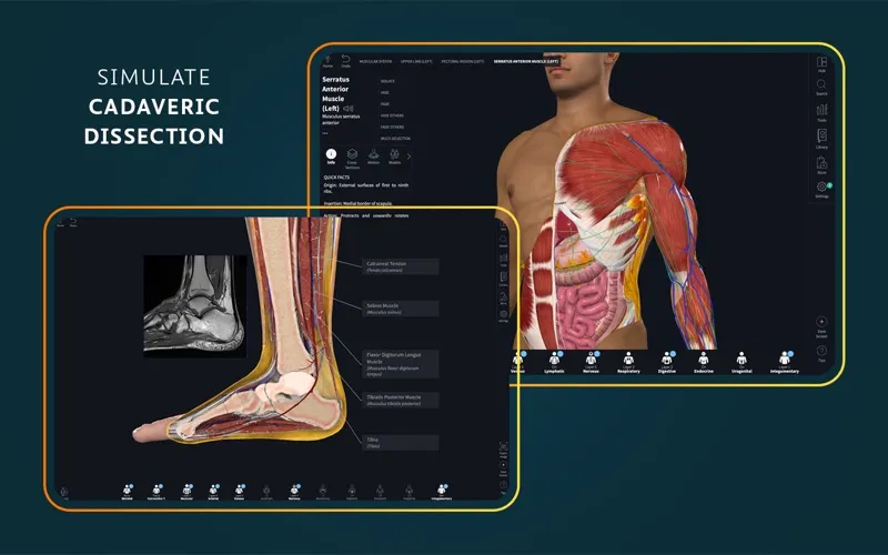Complete Anatomy screenshot 2