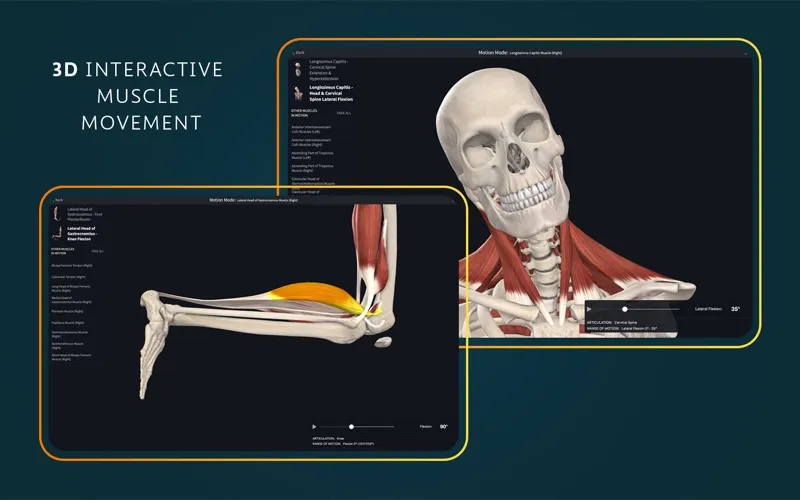 Complete Anatomy screenshot 3