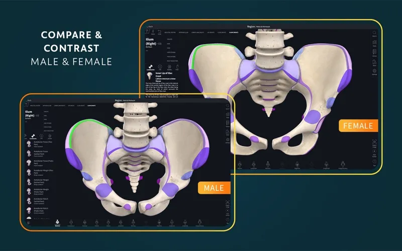 Complete Anatomy screenshot 4