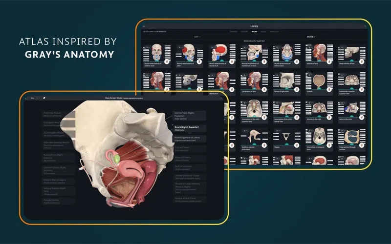 Complete Anatomy screenshot 5