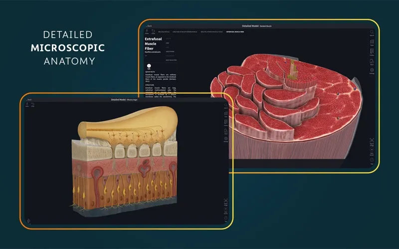 Complete Anatomy screenshot 6