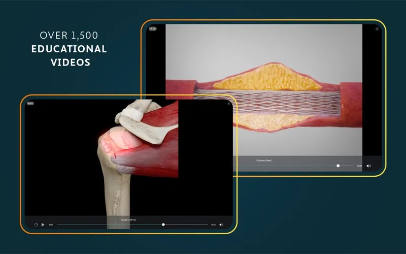 Complete Anatomy screenshot 8
