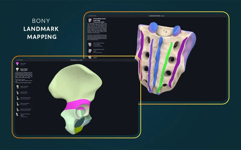 Complete Anatomy screenshot 9