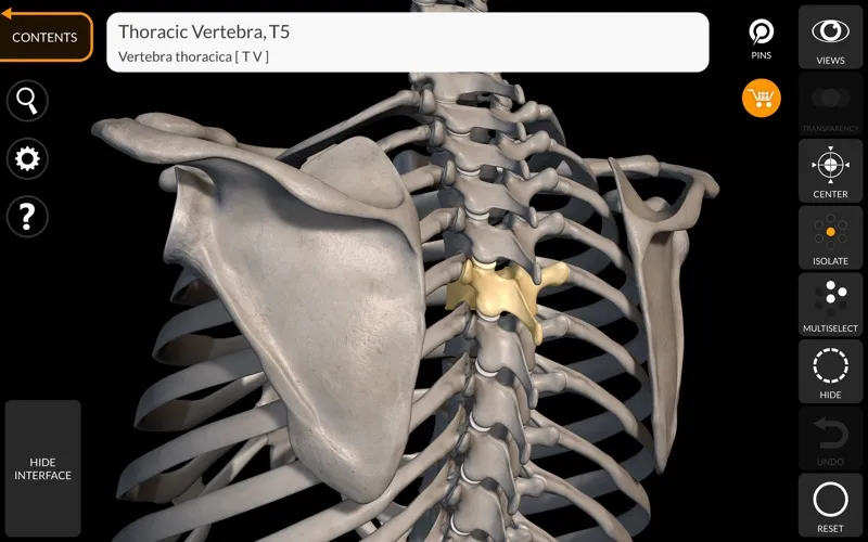 Skeleton 3D Anatomy screenshot 2