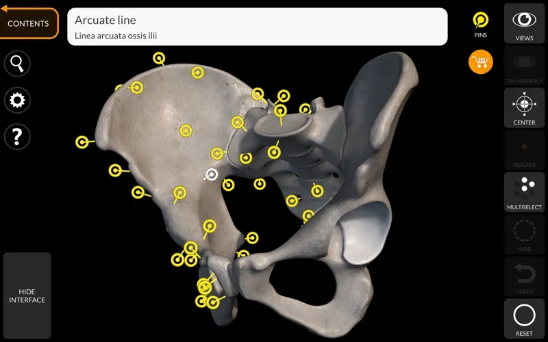 Skeleton 3D Anatomy screenshot 3