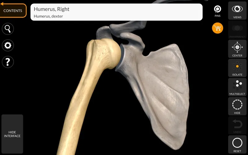 Skeleton 3D Anatomy screenshot 5